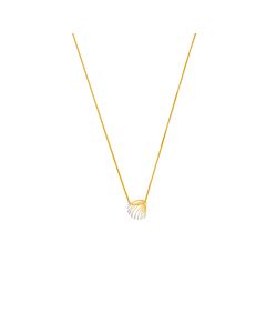 Oceana Shell Mist Gold Pendant Chain