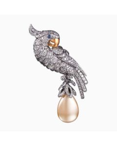 The Macaw brooch