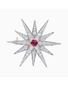 Ruby Star brooch